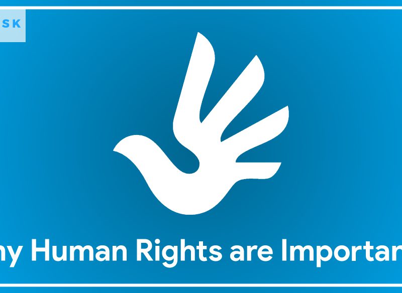 What Are Human Rights & Why Are They Important?