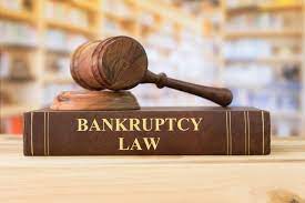 Why do You Need to Hire Bankruptcy Lawyers?